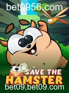 Explorando o Fascinante Mundo do Jogo SavetheHamster